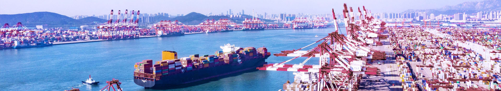 吊鉗什么牌子好_常見問題_起重鉗,鋼板起重鉗,吊裝鉗,鋼板鉗,起重吊裝鉗-辰力集團有限公司